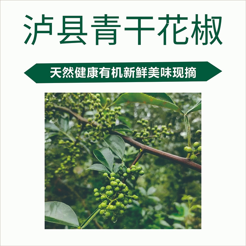 农家自产 【工会活动】泸县青干花椒200g/瓶