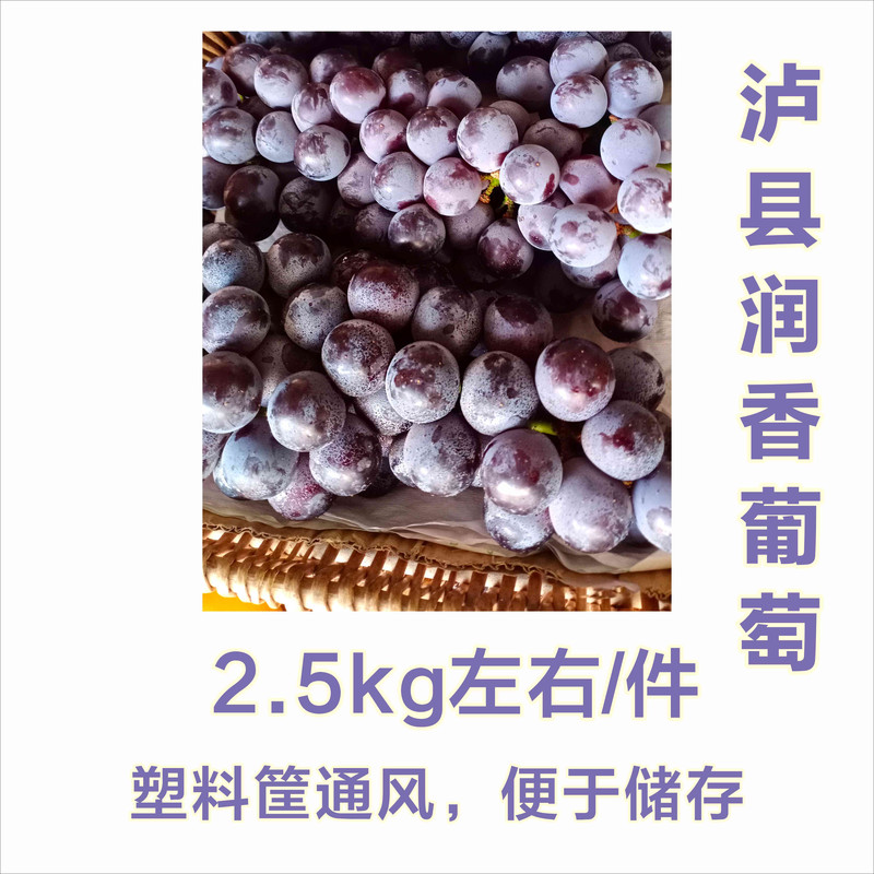 农家自产 【会员享实惠】泸县葡萄-润香2.5kg装
