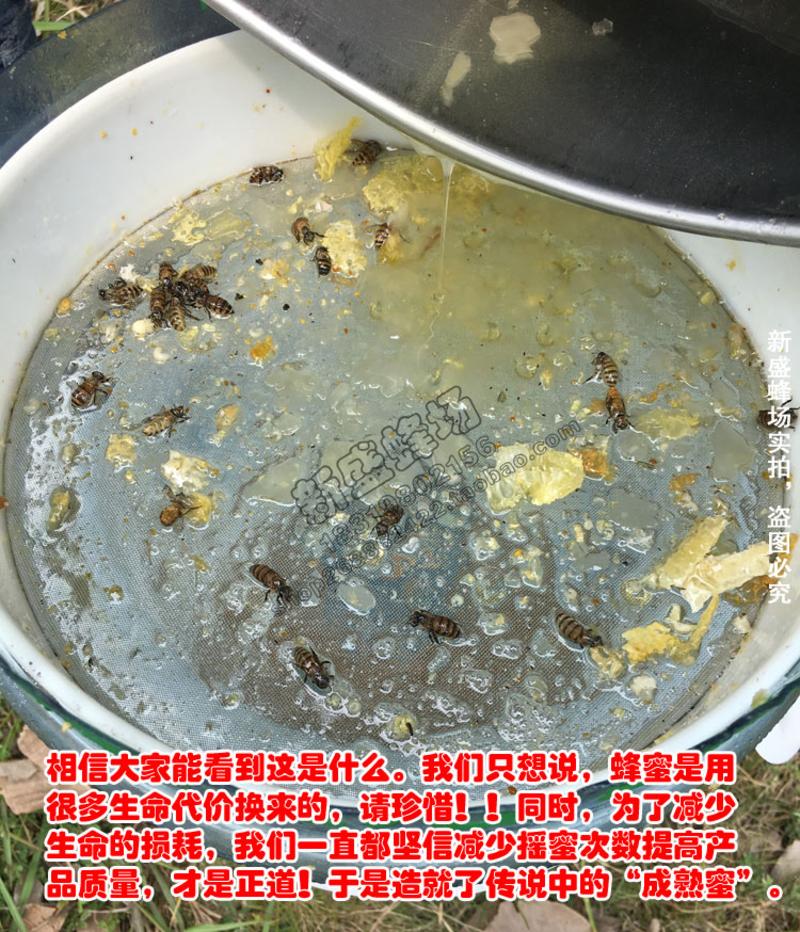 【新丰馆】农家自产成熟蜜封盖蜜高山土蜂蜜150g鸭脚木冬蜜冬糖