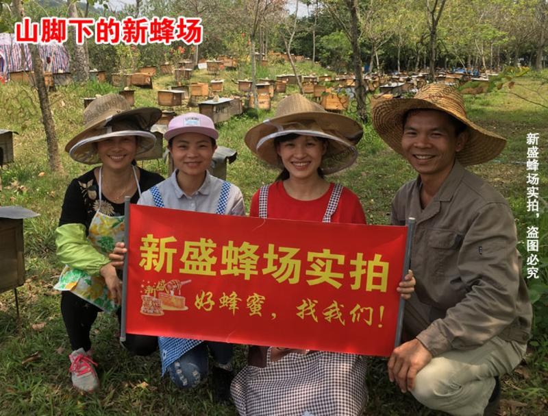 【新丰馆】农家自产纯正天然成熟蜜自产高山桂圆土蜂蜜500g龙眼蜜