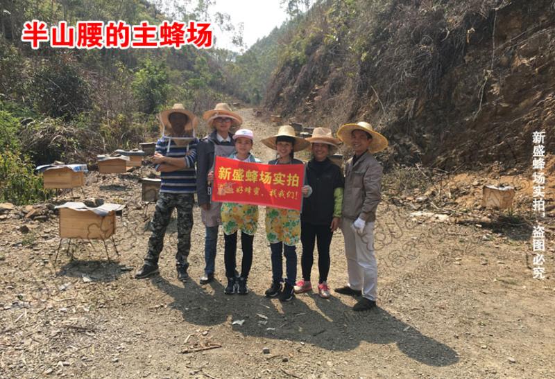 【新丰馆】农家自产零添加成熟蜜自产高山土蜂蜜350g鸭脚木冬糖