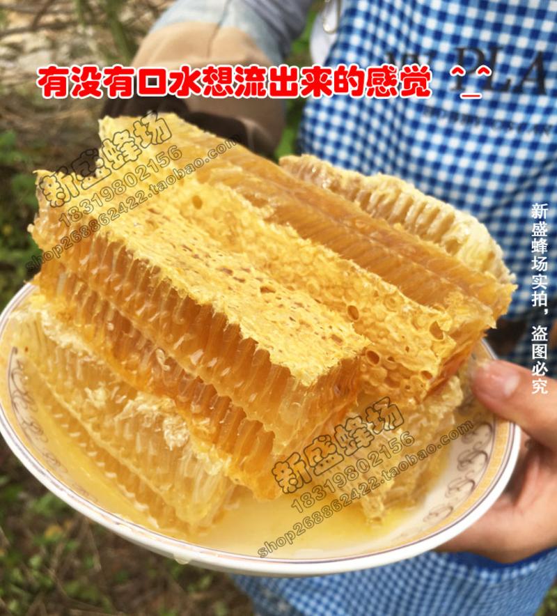 【新丰馆】广东新丰农家自产纯正天然成熟蜜桂圆蜜土蜂蜜500g自产龙眼蜜2瓶套装 精致木盒包装