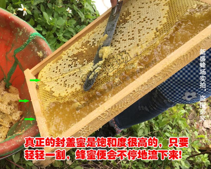 【新丰馆】农家自产成熟蜜封盖蜜高山土蜂蜜150g鸭脚木冬蜜冬糖