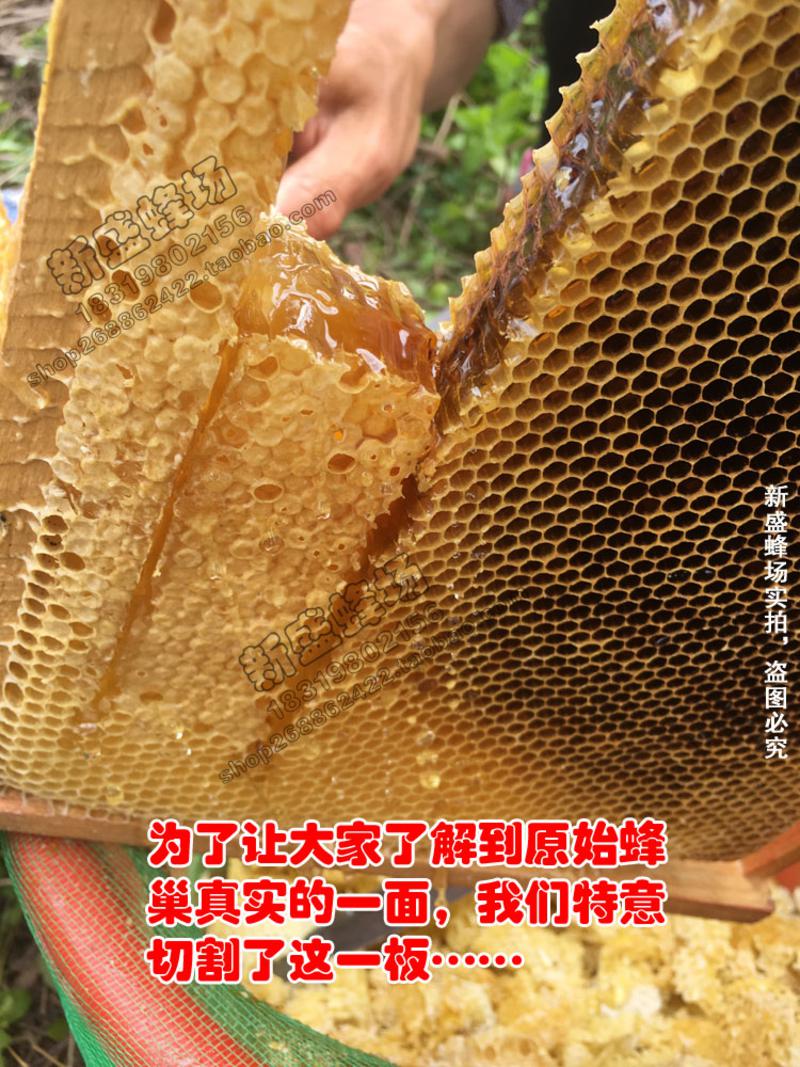 【新丰馆】农家自产高品质成熟蜜封盖蜜自产高山土蜂蜜350g荔枝蜜