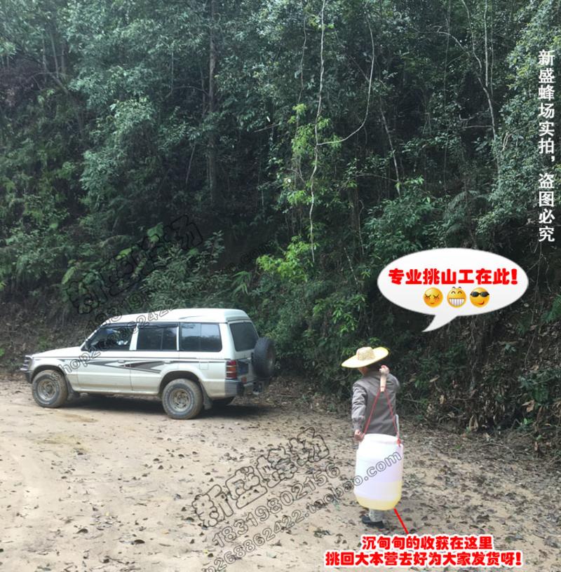 【新丰馆】农家自产纯正天然成熟蜜自产高山桂圆土蜂蜜350g龙眼蜜