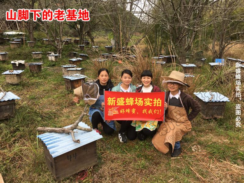 【新丰馆】农家自产零添加成熟蜜自产高山土蜂蜜350g鸭脚木冬糖