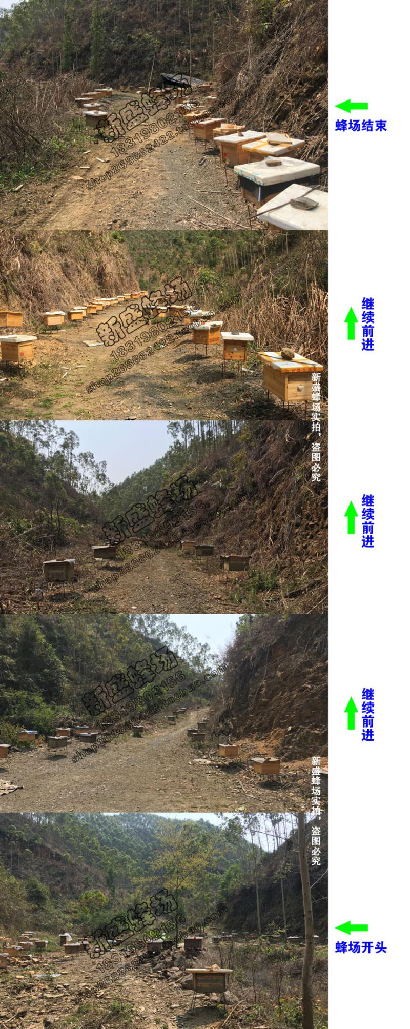 【新丰馆】农家自产纯正天然成熟蜜自产高山桂圆土蜂蜜500g龙眼蜜