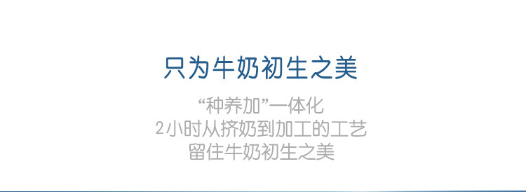 【4月产】现代牧业鲜语纯牛奶 冰箱礼盒装纯奶250ml*12盒 纯奶 新老包装交替发货