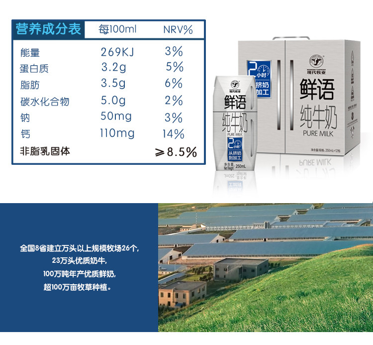 【4月产】现代牧业鲜语纯牛奶 冰箱礼盒装纯奶250ml*12盒 纯奶 新老包装交替发货