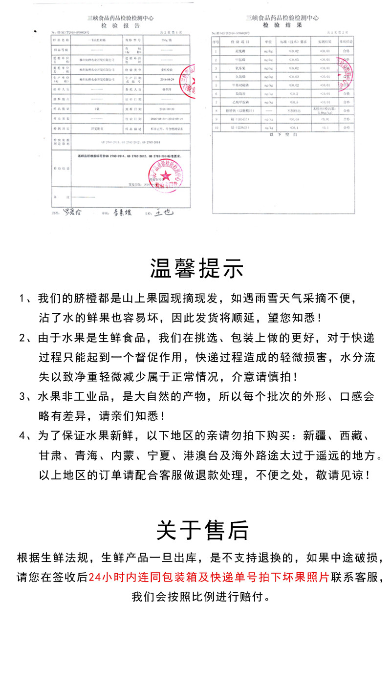 春季甜橙 三峡特产 伦晚脐橙 3斤装（玲珑果55-65）