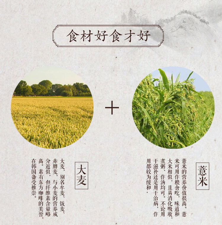 淮芝堂 薏米麦茶袋泡茶150g 精选大麦薏米薏仁茶组合袋泡茶买二送水杯