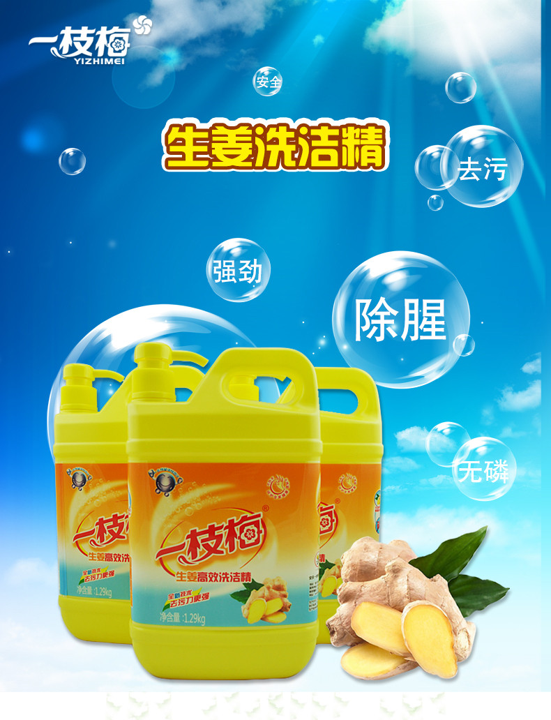 一枝梅 【安庆邮政】生姜(柠檬)洗洁精1.29kg