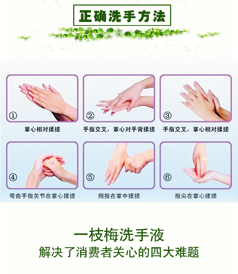 一枝梅 【安庆邮政】芦荟(柠檬)洗手液500g