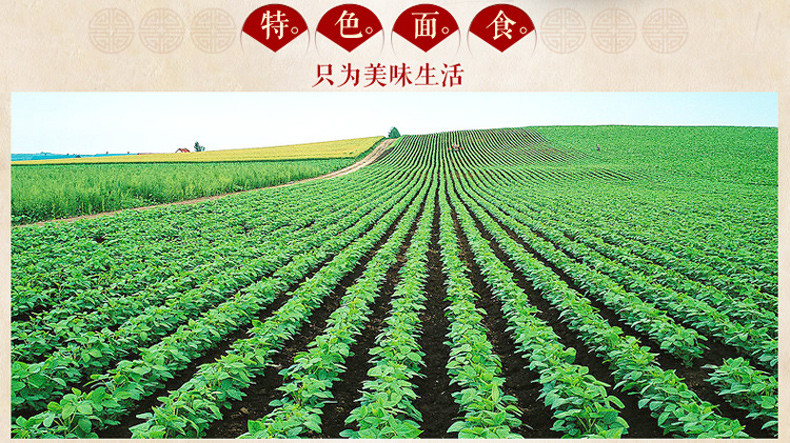 【云冈大同馆】 山西特产大同浑源凉粉360g*5