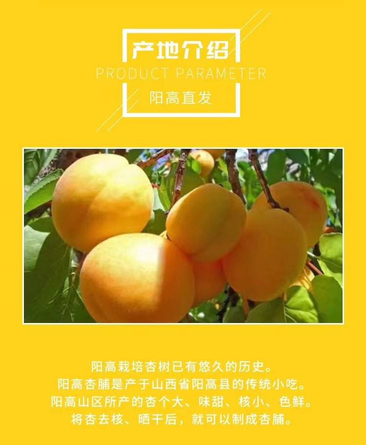 利黄 阳高杏脯250g【晋乡情-大同】酸甜可口天然无添加