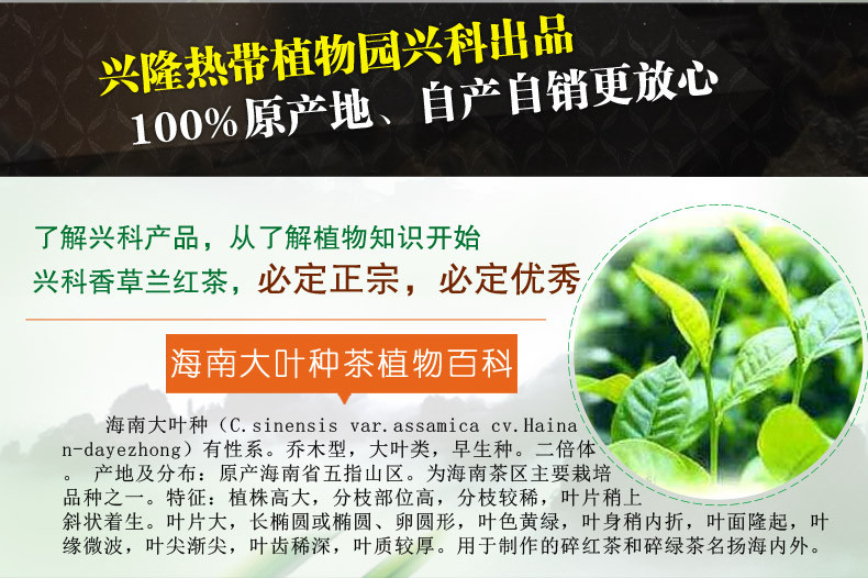 【海南万宁馆】兴隆热带植物园 兴科特级香草兰红茶100g