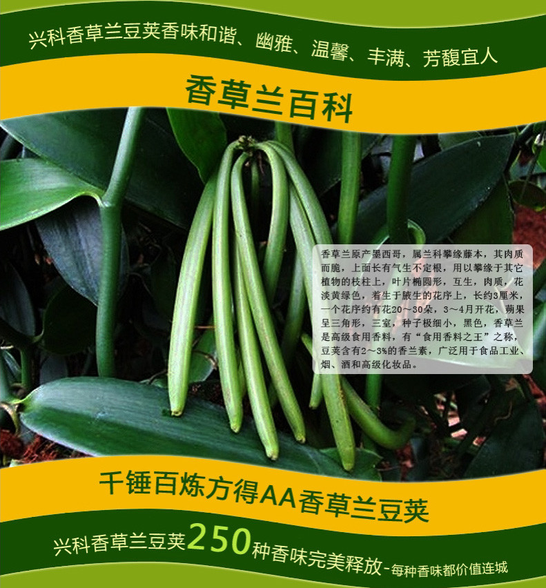 【海南万宁馆】兴隆植物园 兴科牌香荚兰豆荚9g/盒