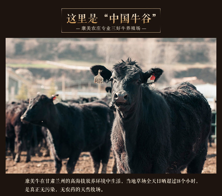 【邮乐 临夏馆】 88g手撕牛肉（孜然味）选料好 做工精 美味撕不停