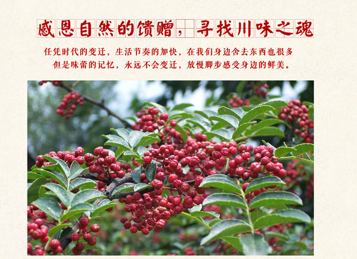 【邮乐 临夏馆】 回香斋花椒粉调味料 30g/袋