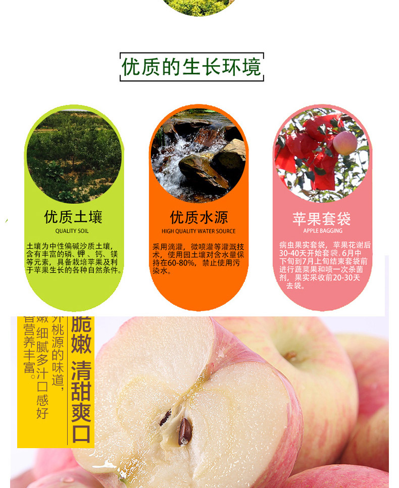 农家自产 【邮乐永靖县】刘家峡冰糖心红富士苹果全国包邮2.5kg