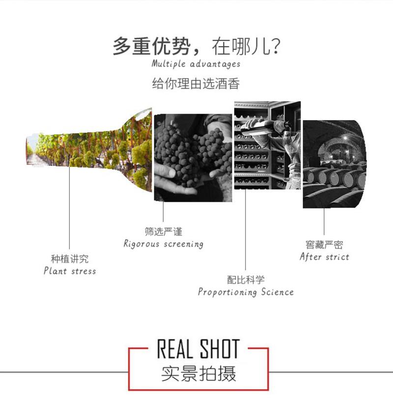 柏菲堡 法国原瓶原装进口红酒 柏菲堡男爵干红葡萄酒