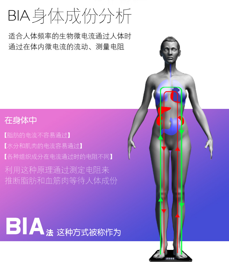 体脂秤智能电子称APP蓝牙智能秤体重秤带脂肪测试电子秤