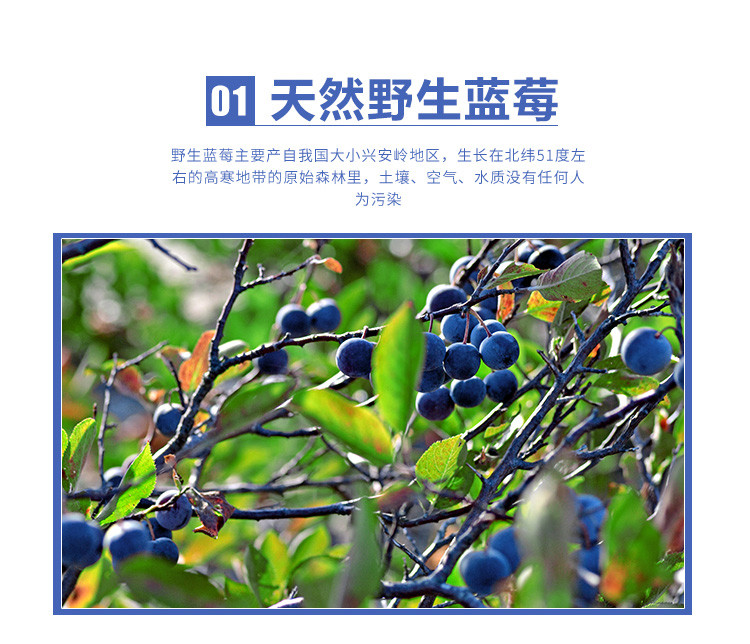 【伊春】九鑫山珍 蓝莓干5元尝鲜价 1个起拍 价格优惠5元/个
