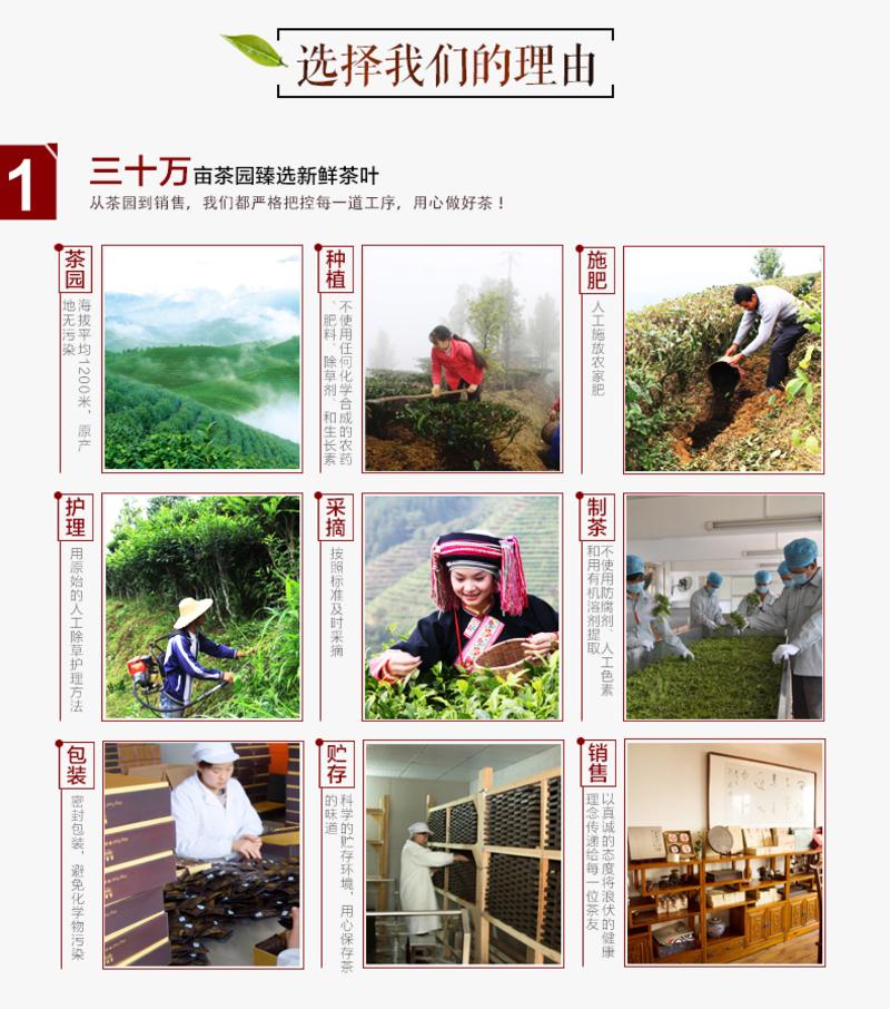 黑茶 长盛川青砖茶黑茶袋泡茶礼盒 独立包装4gx50袋 内蒙砖茶煮奶茶茶叶