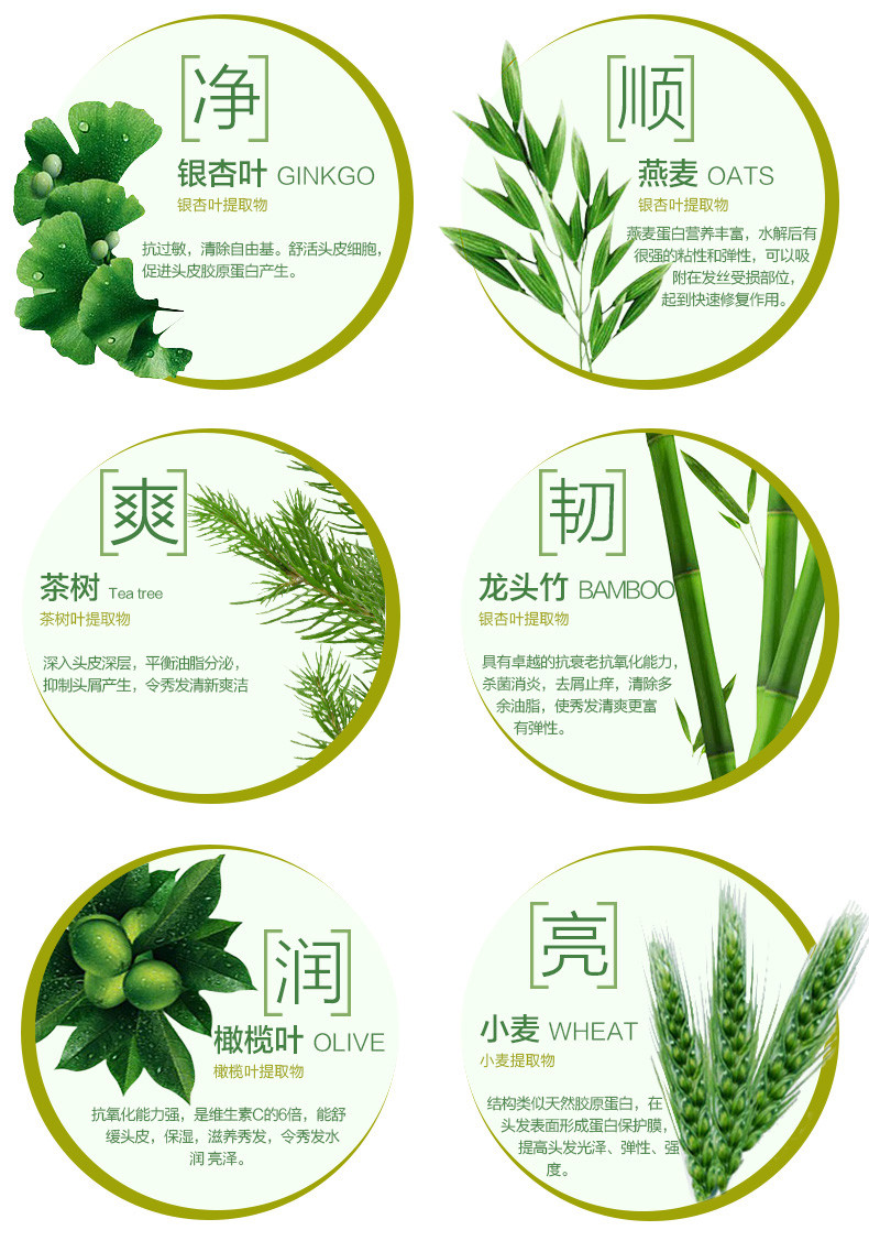 100年润发茶树去屑400g+水润丝滑400g洗发水