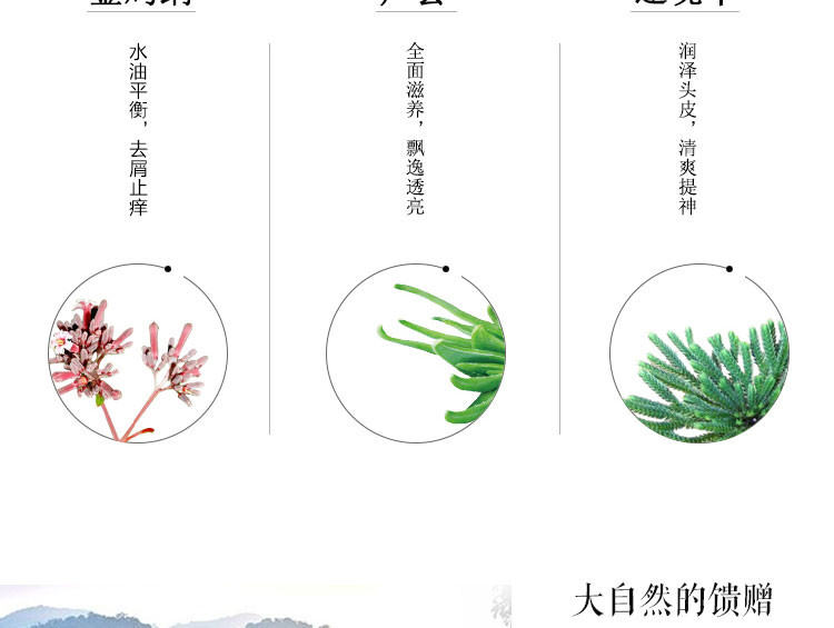 丝贝佳 金鸡纳洗发露傣方植物去屑止痒 控油平衡清爽 物去屑止痒物去屑止痒