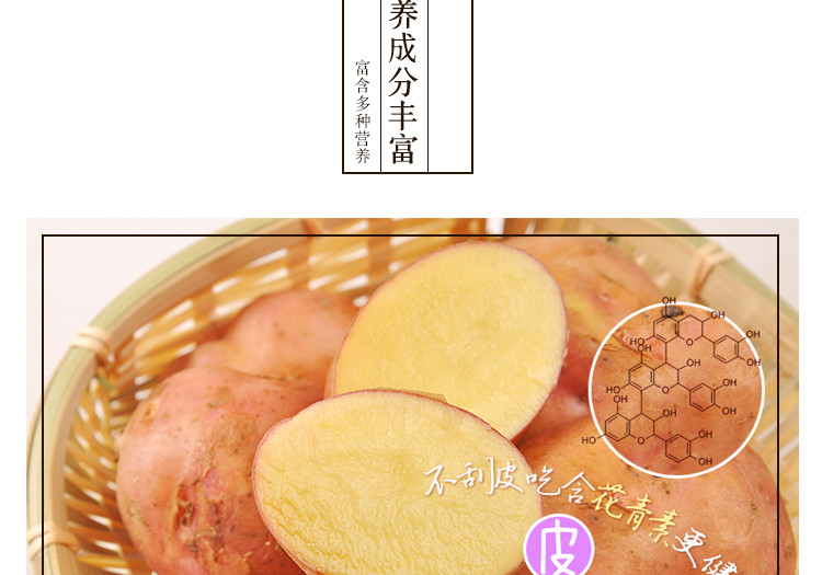 【晋阳馆】预售  同福田润 红皮羊粪土豆5斤装
