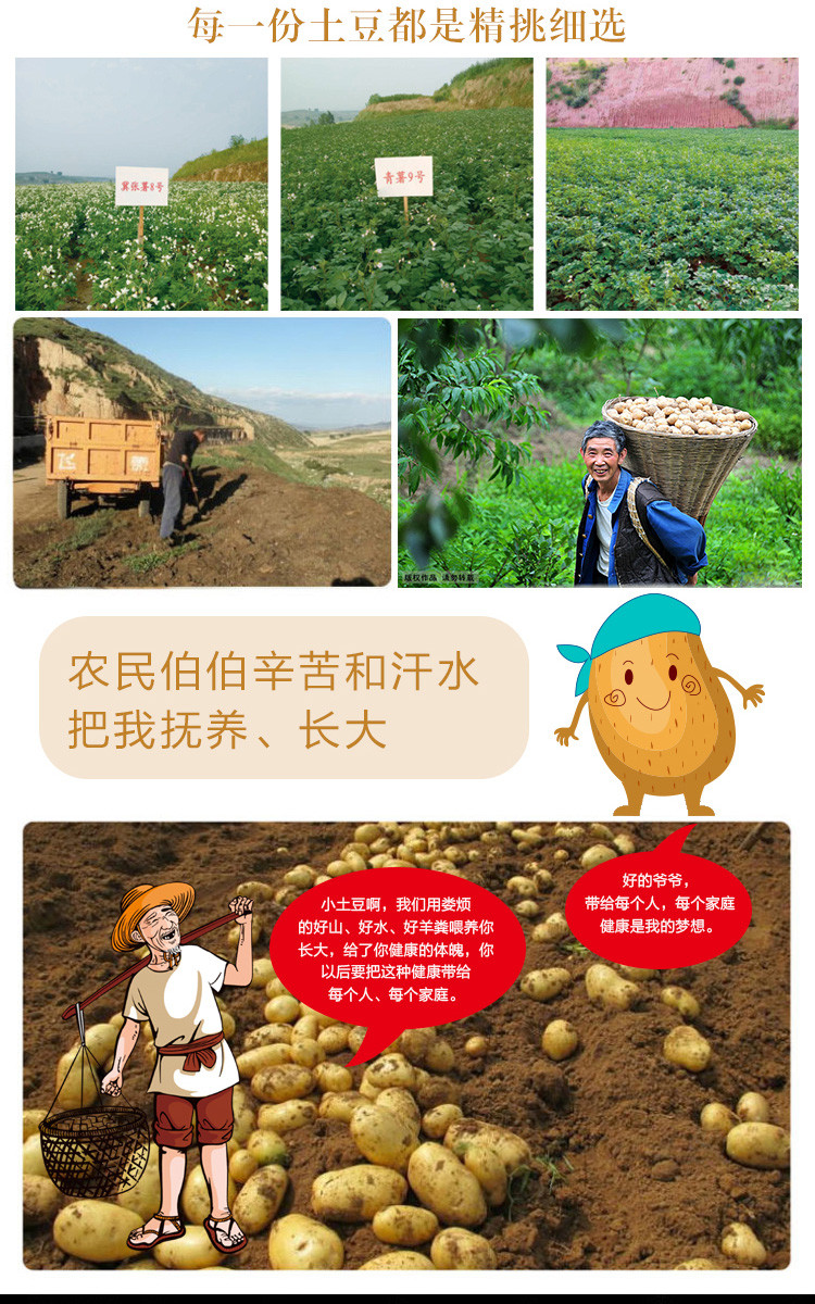 娄烦扶贫地方馆  同福田润羊粪土豆5斤装