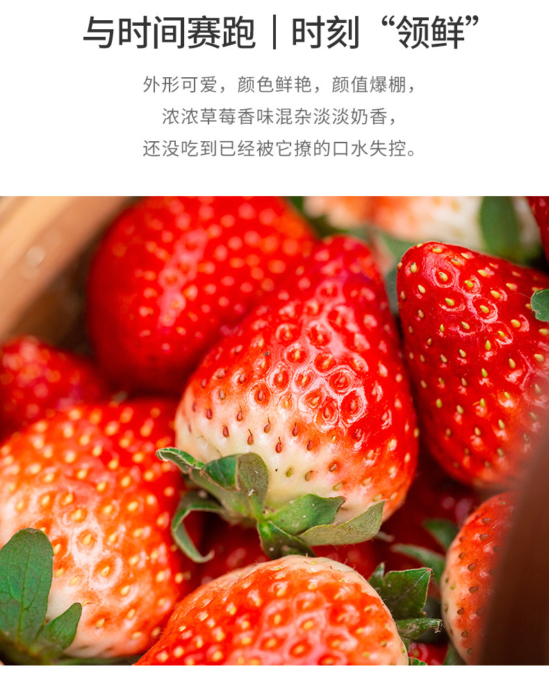 [无锡馆]梅园生态园 新鲜奶油小草莓 1斤装（仅限无锡，不含江阴、宜兴）