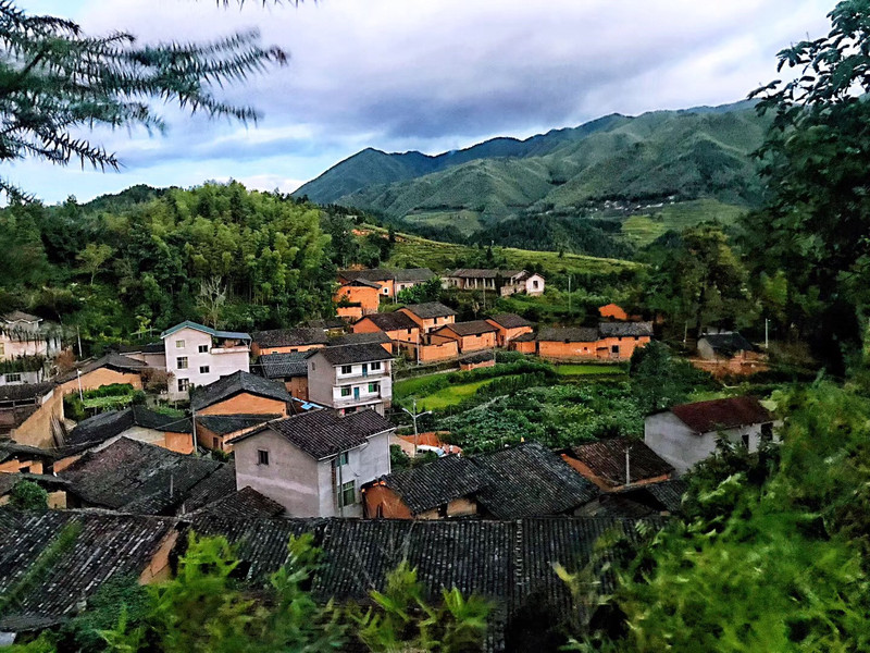 【爱心助农】厦门馆 南平高山锥栗 源自自然 美味共享 5斤装