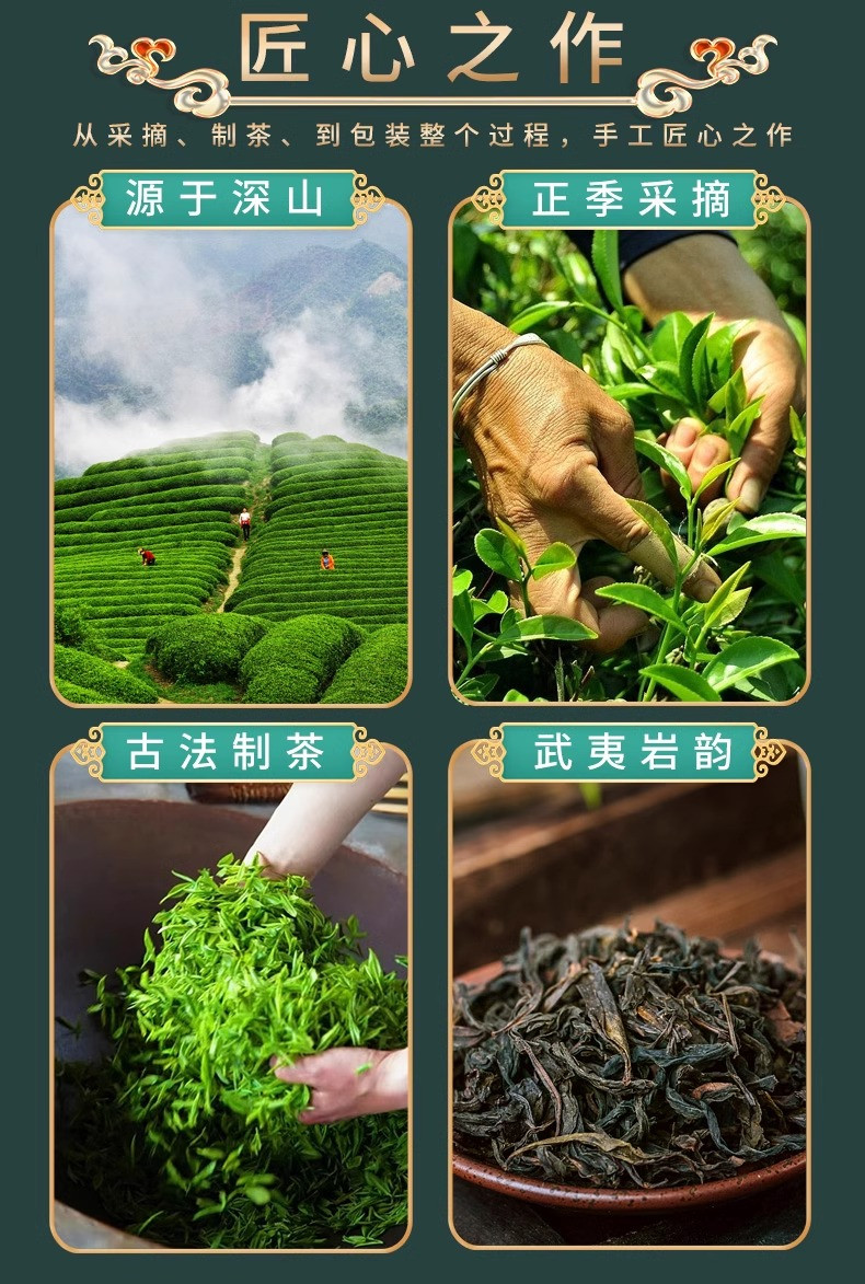 半春茗 黄色锦绣芳华老枞水仙