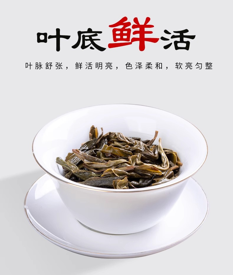 半春茗 【厦门馆】大头罐小罐茶叶50g