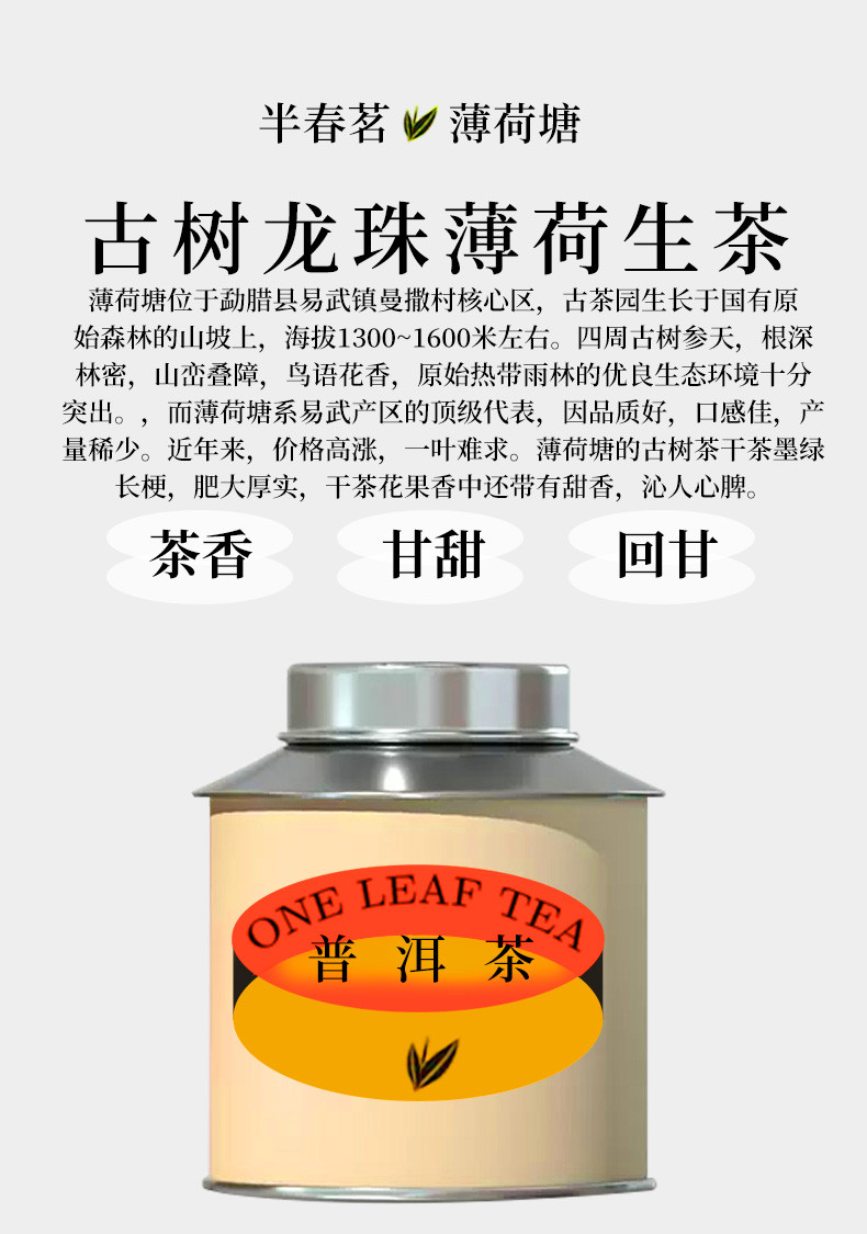 半春茗 小罐装薄荷塘普洱茶生茶正品云南生普古树浓香型茶叶