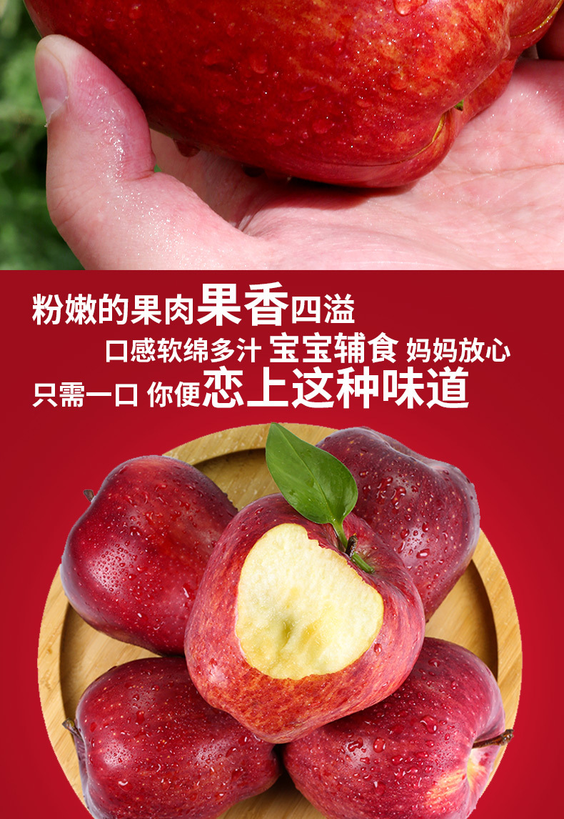 【坏果包赔】甘肃天水花牛苹果 当季新鲜水果宝宝辅食 粉面香甜红蛇果YHG