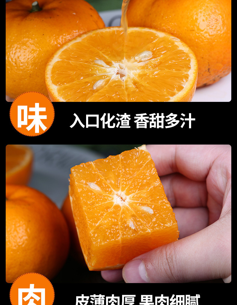 农家自产 广西武鸣沃柑 新鲜水果当季沙糖蜜橘砂糖柑橘桔子