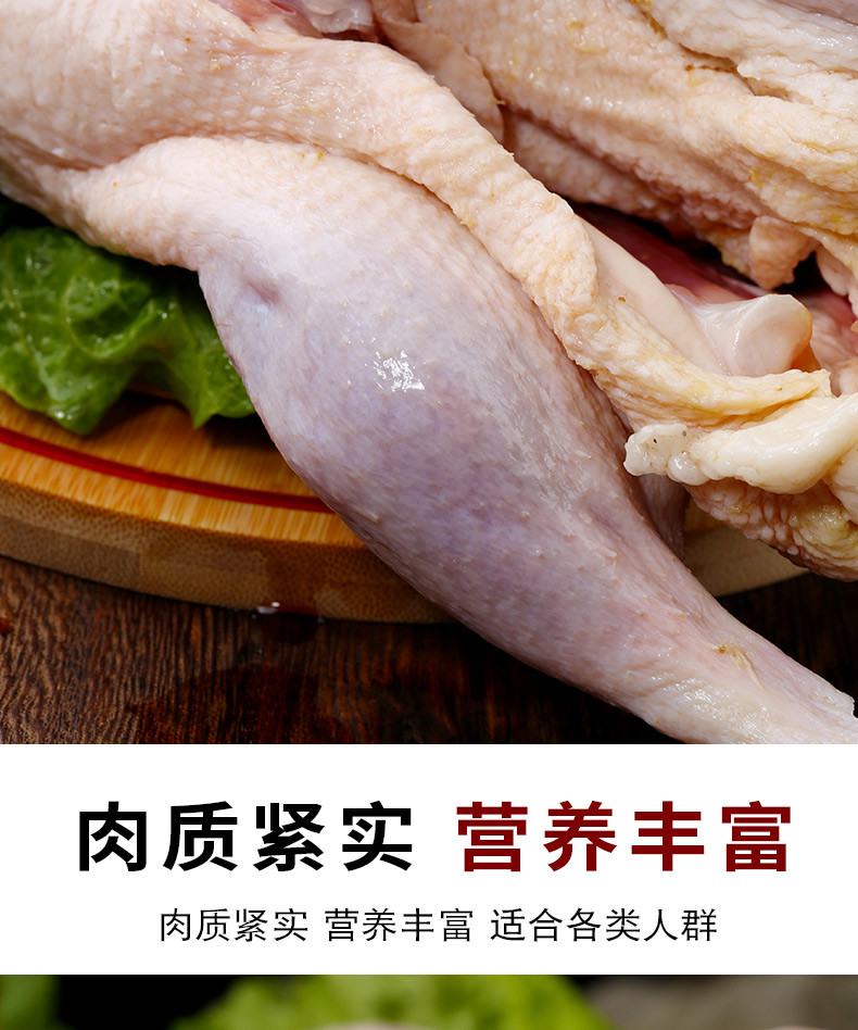 农家自产 白条鸭子 鸭肉生鲜