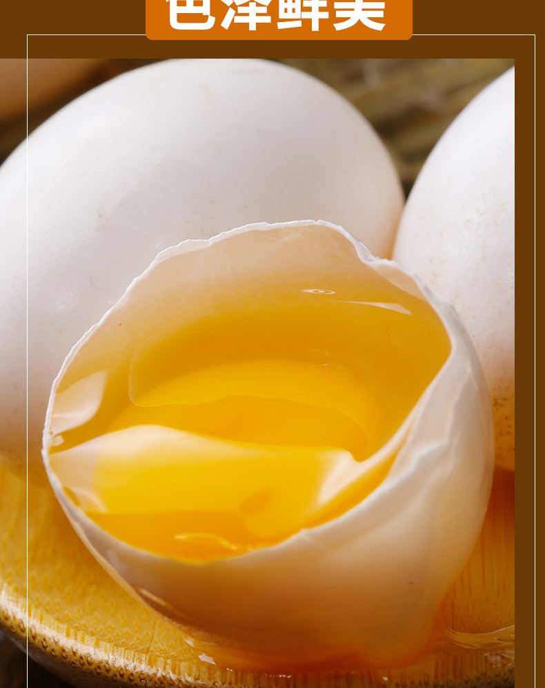 农家自产 新鲜鸽子蛋农家特产鸽蛋孕妇宝宝儿童土鸽子蛋