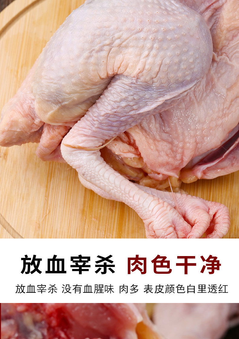 农家自产 老母鸡煲汤 散养农家土鸡肉 生鲜走地鸡柴鸡