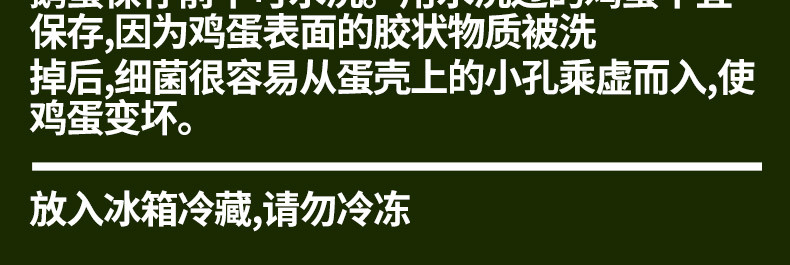 农家自产 鹅蛋农家散养土鹅蛋新鲜孕妇宝宝生鲜鹅蛋