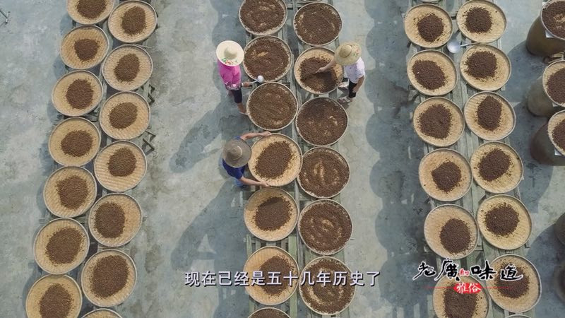 【云浮新兴馆】 大江豆豉400克*1盒 老廣的味道 绿色无添加调味料