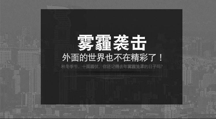 霍尼韦尔/Honeywell 靓呼吸系列KN95口罩  蓝色格子 1只装