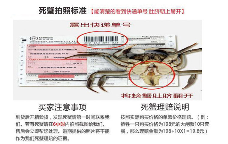 蟹精灵  阳澄湖大闸蟹666型礼券6只 3公3母 螃蟹提货券 团购蟹劵礼卡