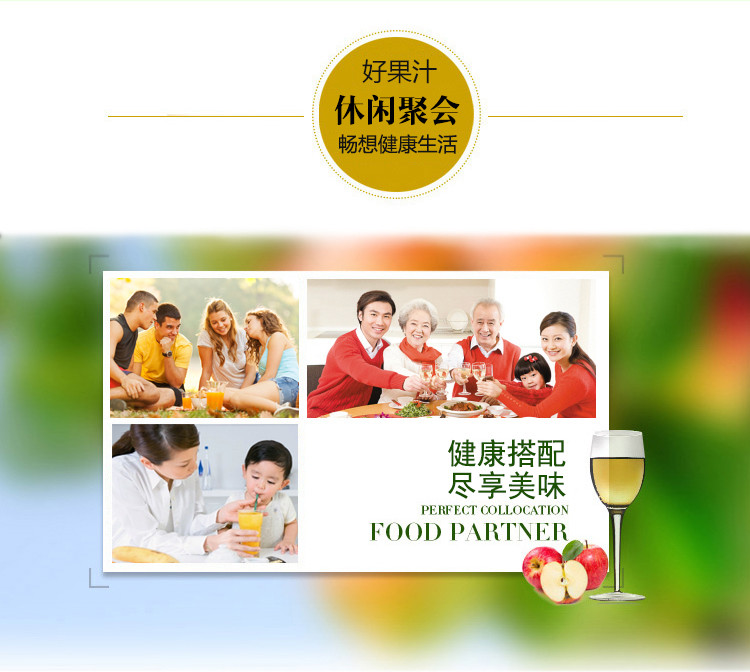 汉之源 发酵型苹果汁 苹果饮料饮品 320MLX6罐