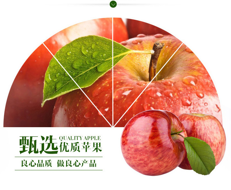 汉之源 发酵型苹果汁 苹果饮料饮品 320MLX6罐