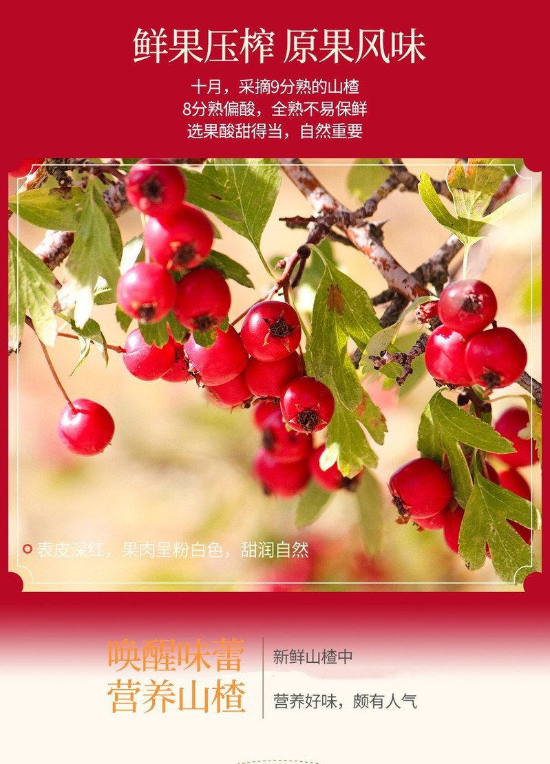 徐州特产 红叶牌桂花山楂条200克/袋山楂条 果脯蜜饯