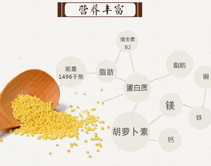 东北道 地方特产 珈若小米 绿色食品 礼盒装  5kg（全国包邮）